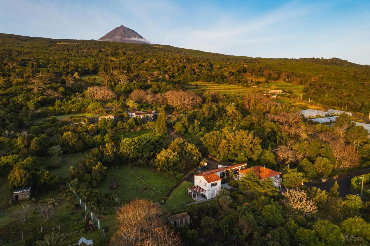 São Roque do Pico Quinta Das Almasヴィラ エクステリア 写真